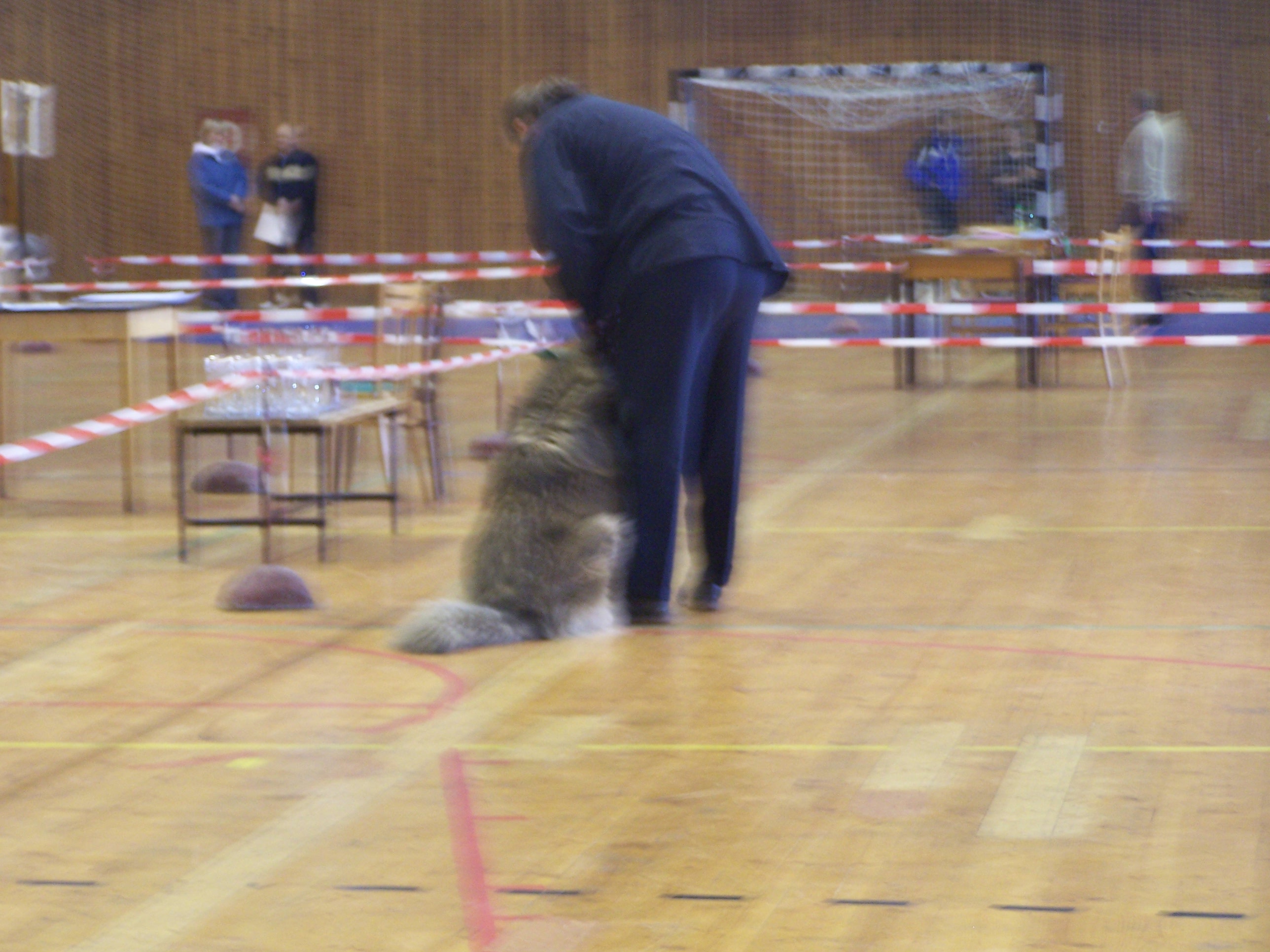 100_1064.JPG