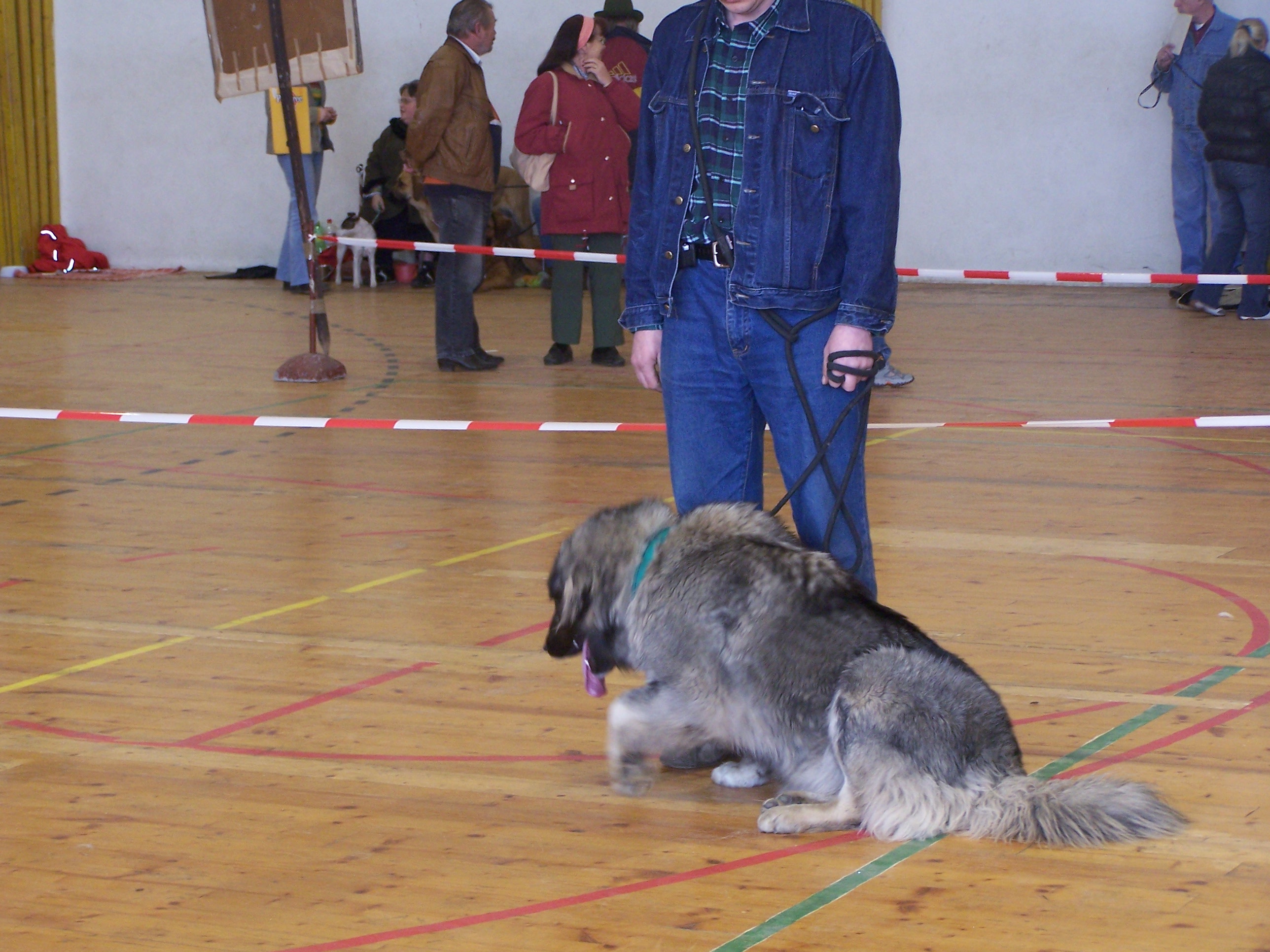 100_1085.JPG